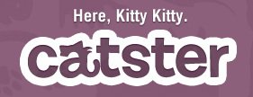 Catster review of Kitten Mitten